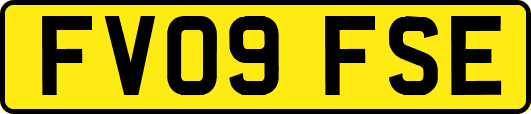 FV09FSE