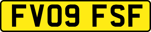 FV09FSF