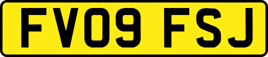 FV09FSJ