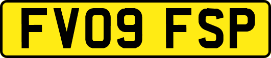FV09FSP