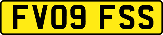 FV09FSS