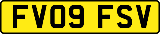 FV09FSV