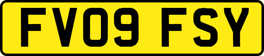 FV09FSY