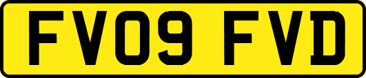 FV09FVD