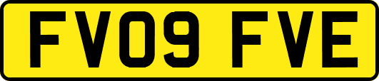 FV09FVE