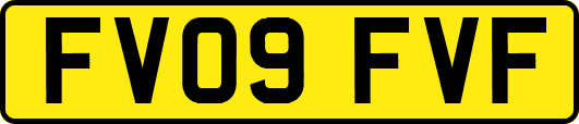 FV09FVF