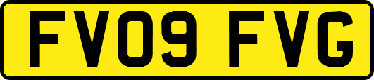 FV09FVG