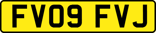 FV09FVJ