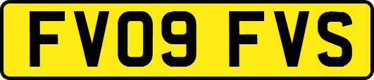 FV09FVS