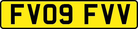 FV09FVV