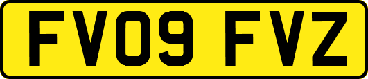 FV09FVZ