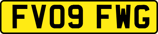FV09FWG