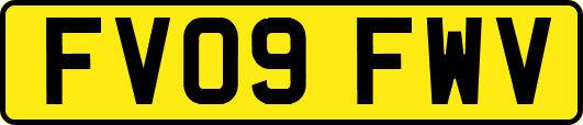 FV09FWV