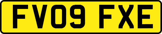 FV09FXE