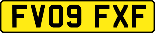 FV09FXF