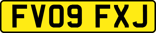 FV09FXJ