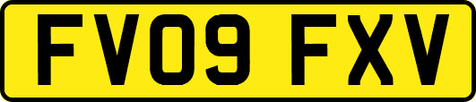 FV09FXV