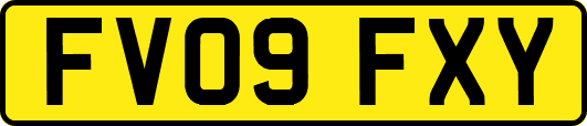 FV09FXY