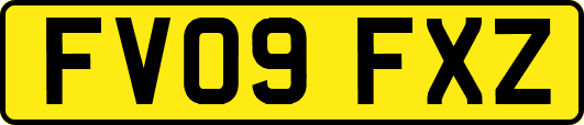 FV09FXZ