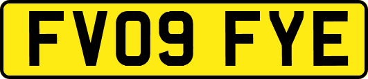 FV09FYE