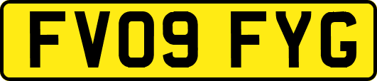 FV09FYG