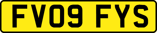 FV09FYS