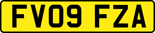 FV09FZA