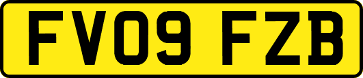 FV09FZB