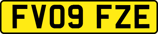 FV09FZE