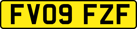 FV09FZF