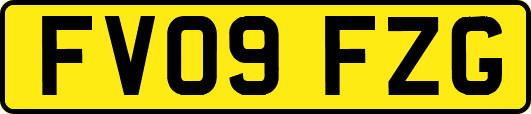 FV09FZG