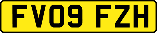 FV09FZH