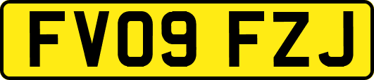 FV09FZJ