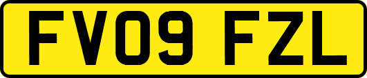 FV09FZL