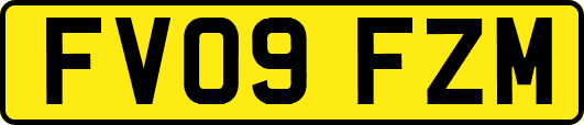 FV09FZM