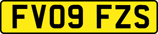 FV09FZS