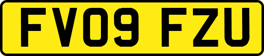 FV09FZU