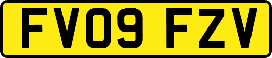 FV09FZV