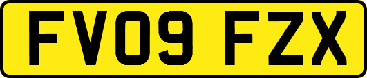 FV09FZX