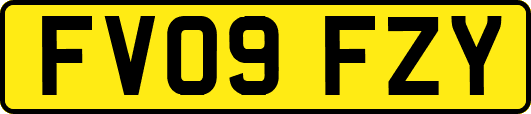 FV09FZY