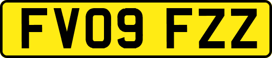 FV09FZZ
