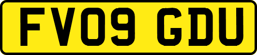 FV09GDU