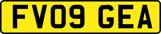 FV09GEA