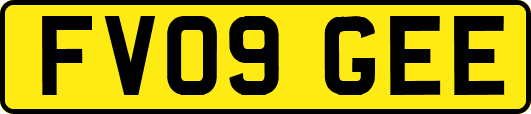 FV09GEE