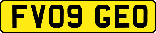 FV09GEO