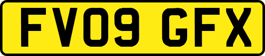 FV09GFX