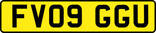 FV09GGU
