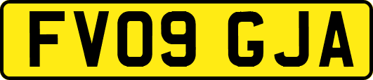 FV09GJA
