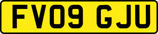 FV09GJU
