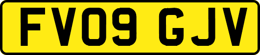 FV09GJV